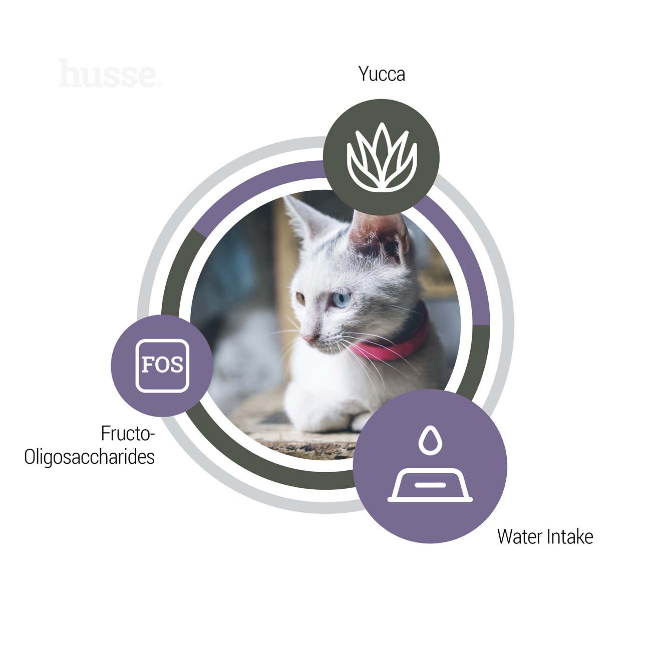 Exclusive Urinary, 7 kg | Potpuna hrana za potporu zdravlju mokraćnog sustava odraslih mačaka