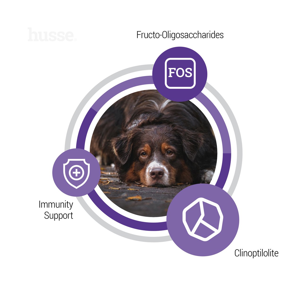 Senior, 12 kg | Potpuna hrana prilagođena potrebama starijih pasa