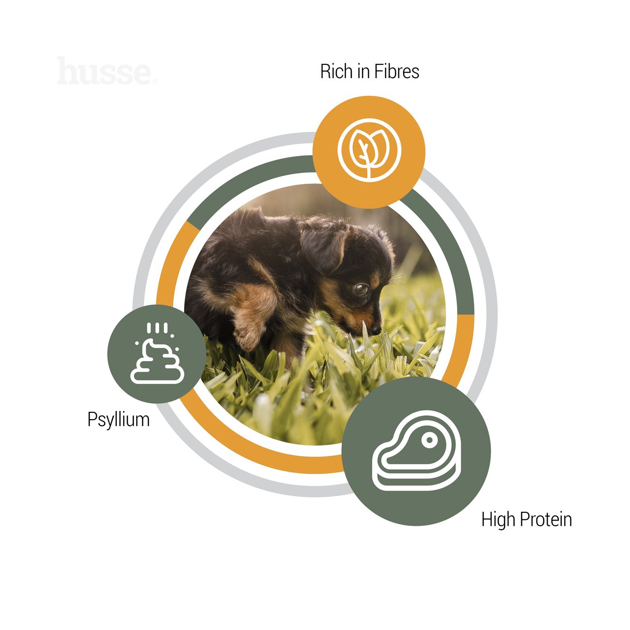 Valp Plus, 2 kg | Potpuna hrana bez glutena za štence s osjetljivim probavnim sustavom - pogodna za skotne kuje i kuje u laktaciji