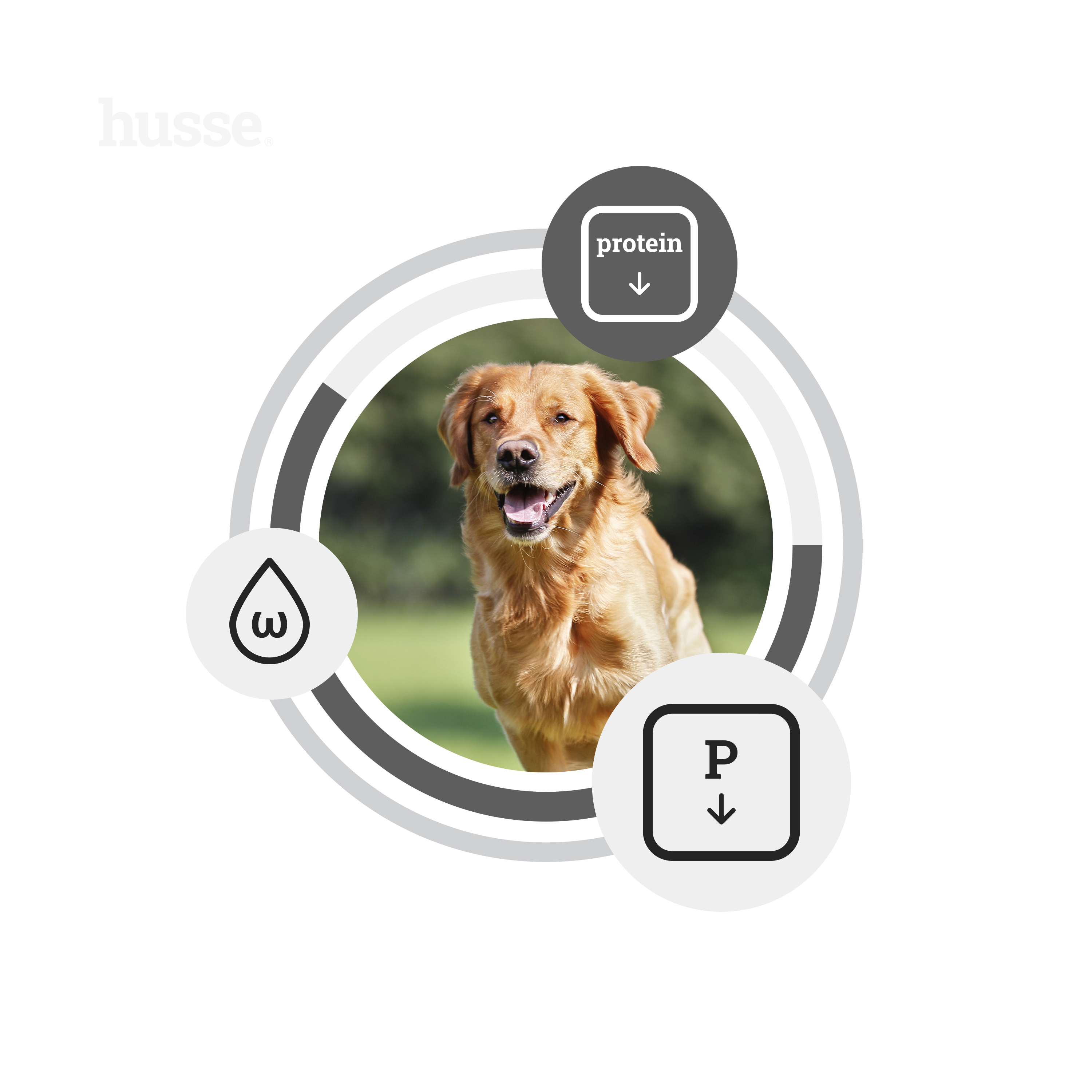 DIET za bubrege, srce i jetru, 7 kg | Veterinarska formula za podršku bubrezima, srcu i jetri