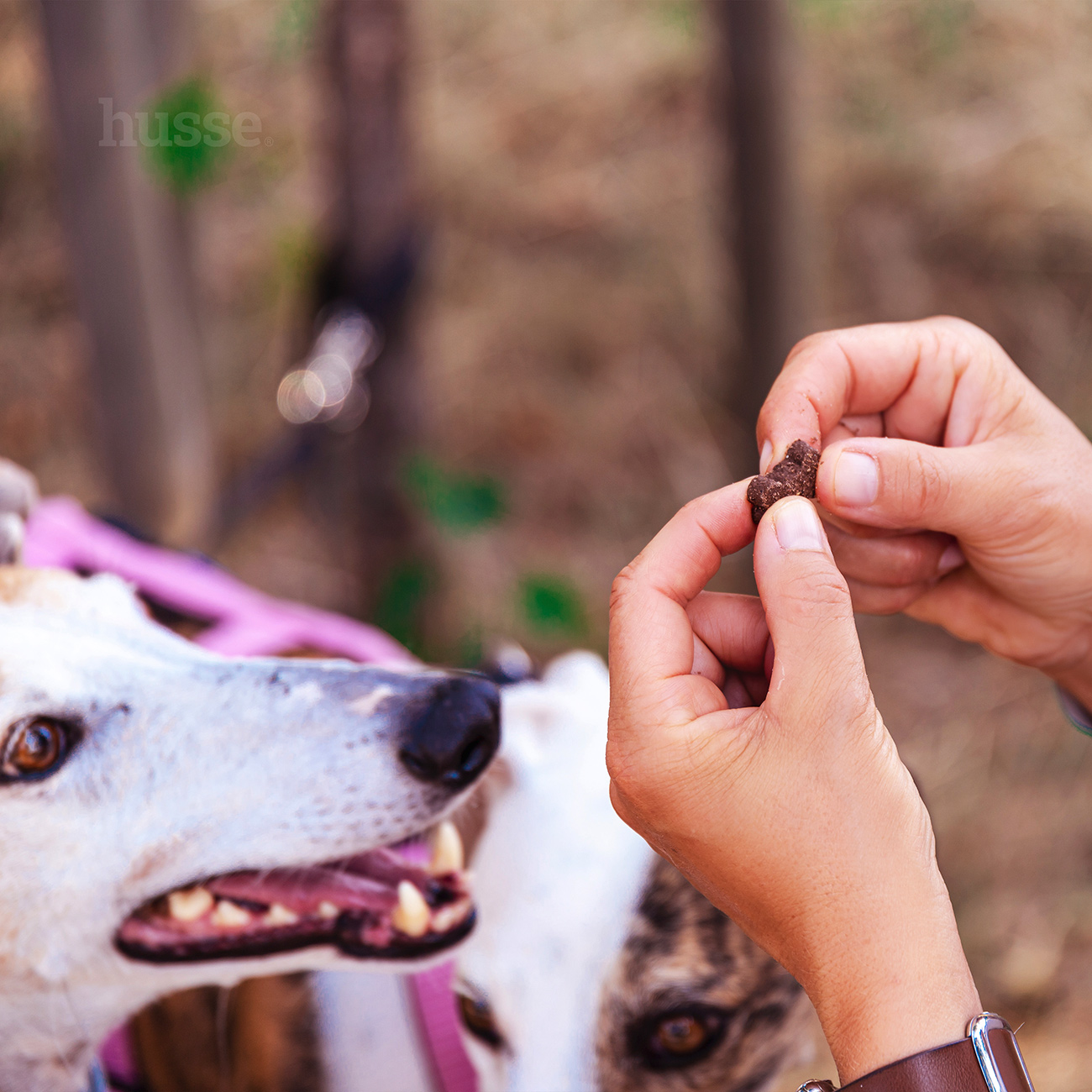 Bravo, 150 g | Poslastice za pse