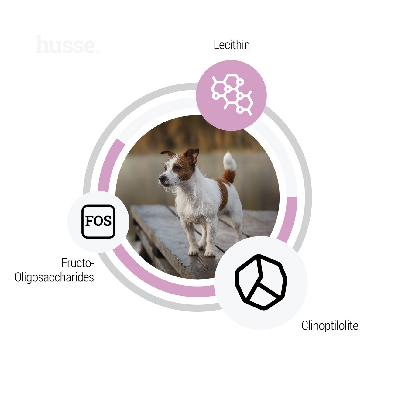 Ocean Care Mini Sensitive, 2 kg | Potpuna hrana za pse malih pasmina s osjetljivim probavnim sustavom i/ili alergijama