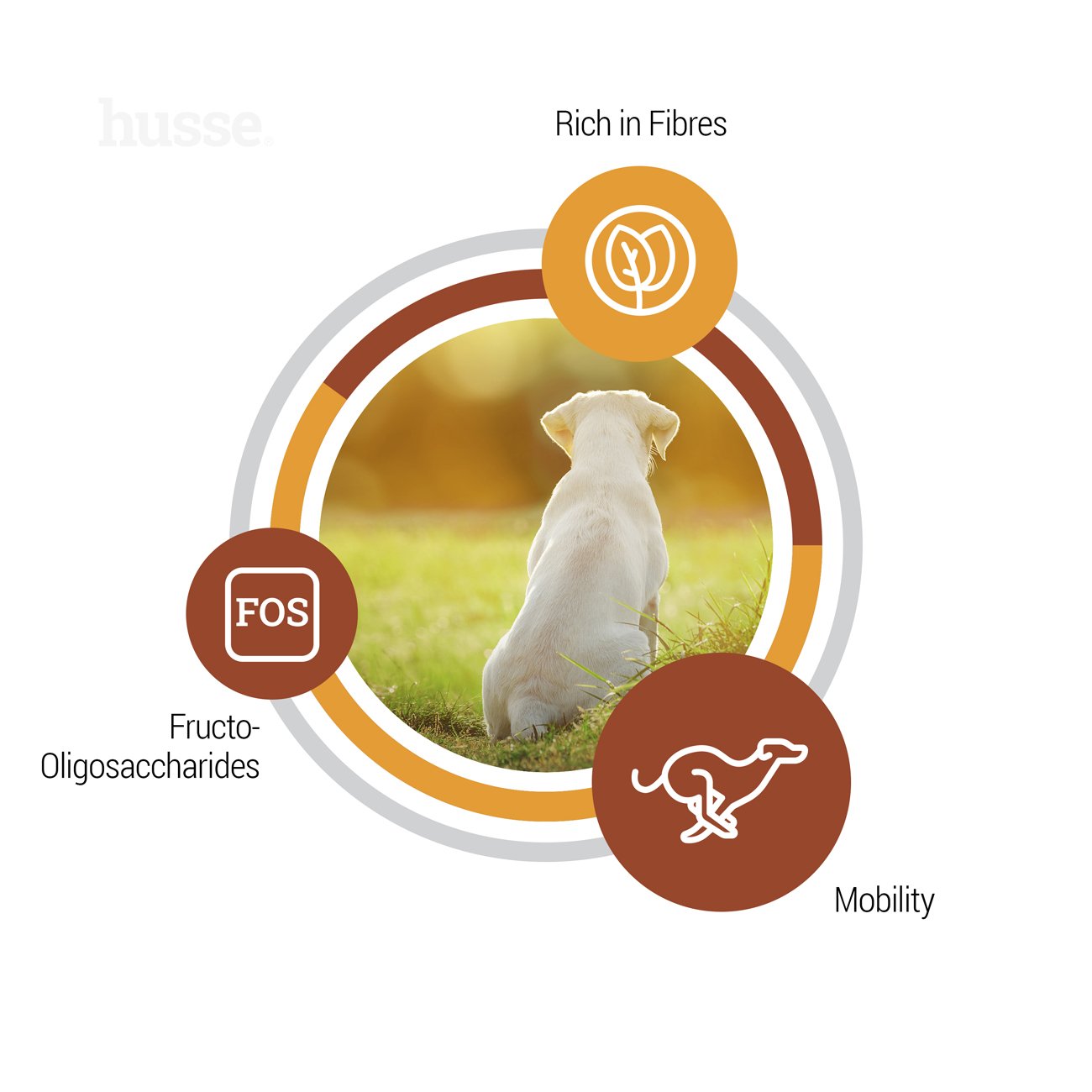 Valp Maxi, 12 kg | Potpuna hrana za štence velikih pasmina pasa - pogodna za skotne kuje i kuje u laktaciji