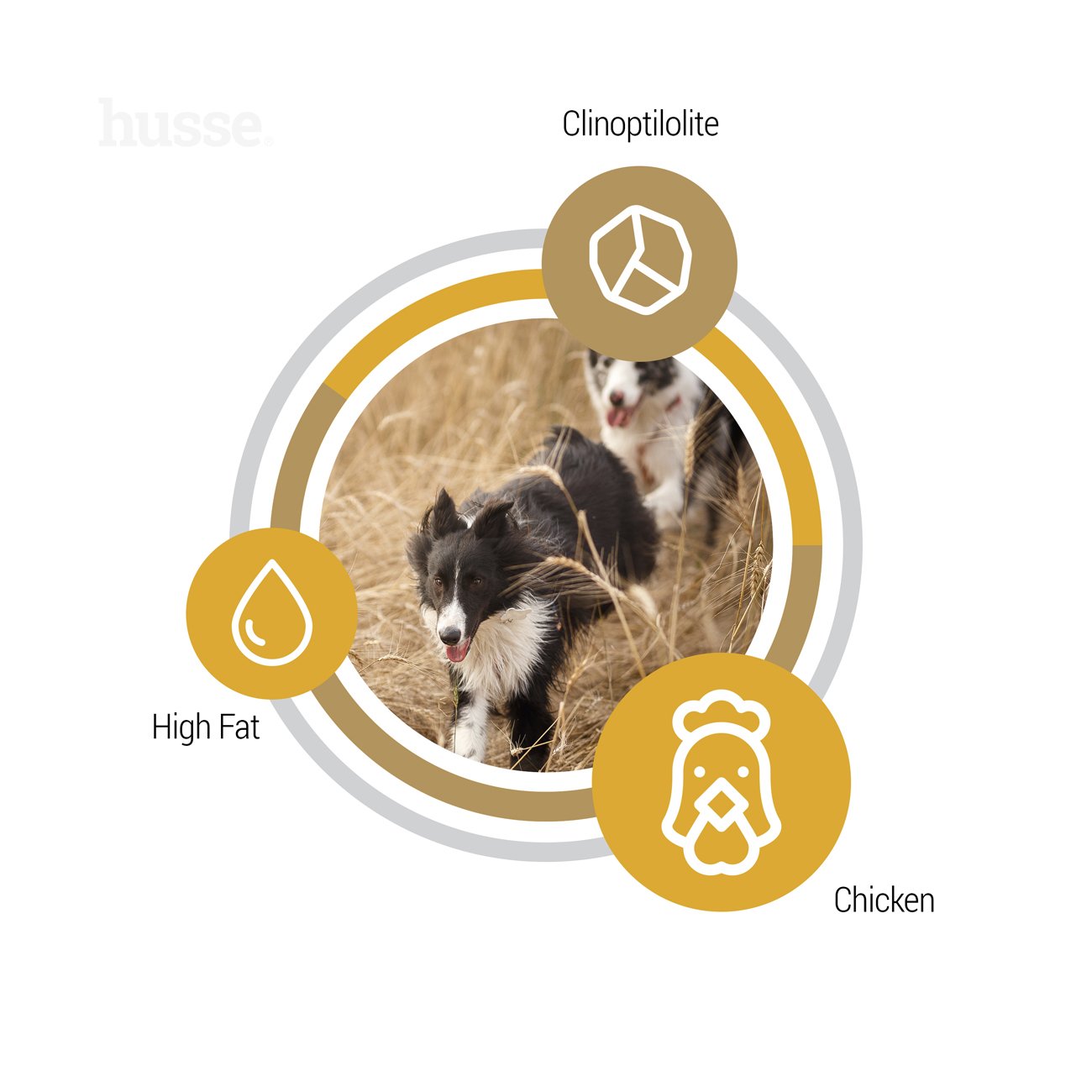 Opus Farm, 12 kg | Potpuna hrana bez žitarica za aktivne pse s osjetljivim probavnim sustavom i/ili alergijama