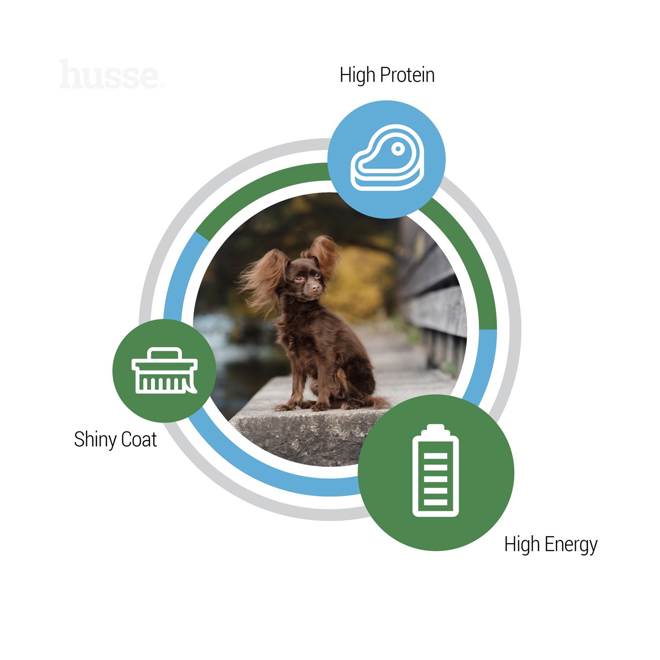 Optimal Mini, 2 kg | Potpuna hrana za aktivne odrasle pse malih pasmina