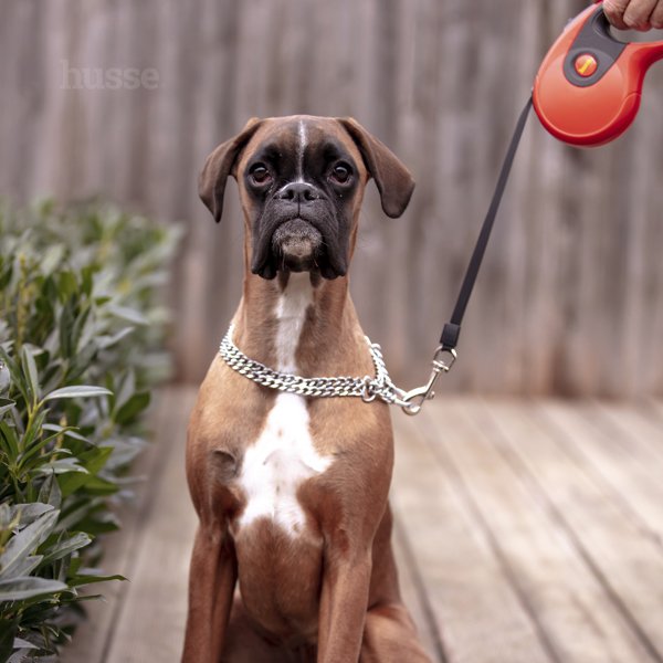 Fleksi, 3 m | Povodac sa sustavom uvlačenja i kočenjem jednom rukom