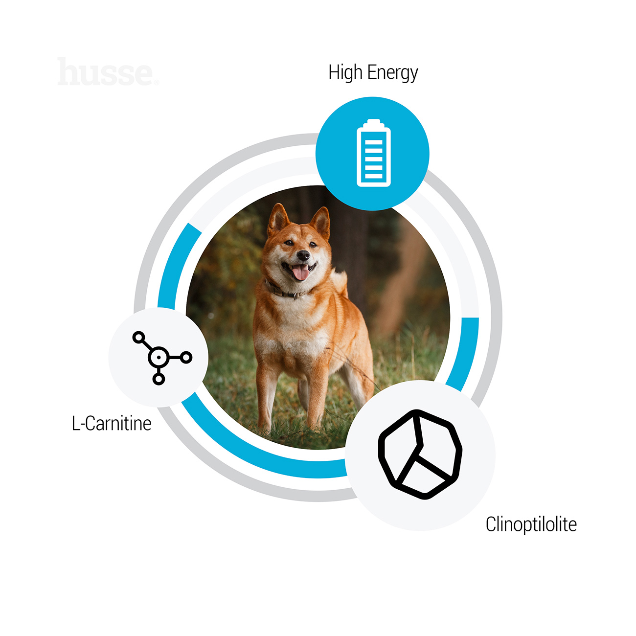 Sensitive Optimal, 12.5 kg | Potpuna hrana za aktivne pse s osjetljivim probavnim sustavom