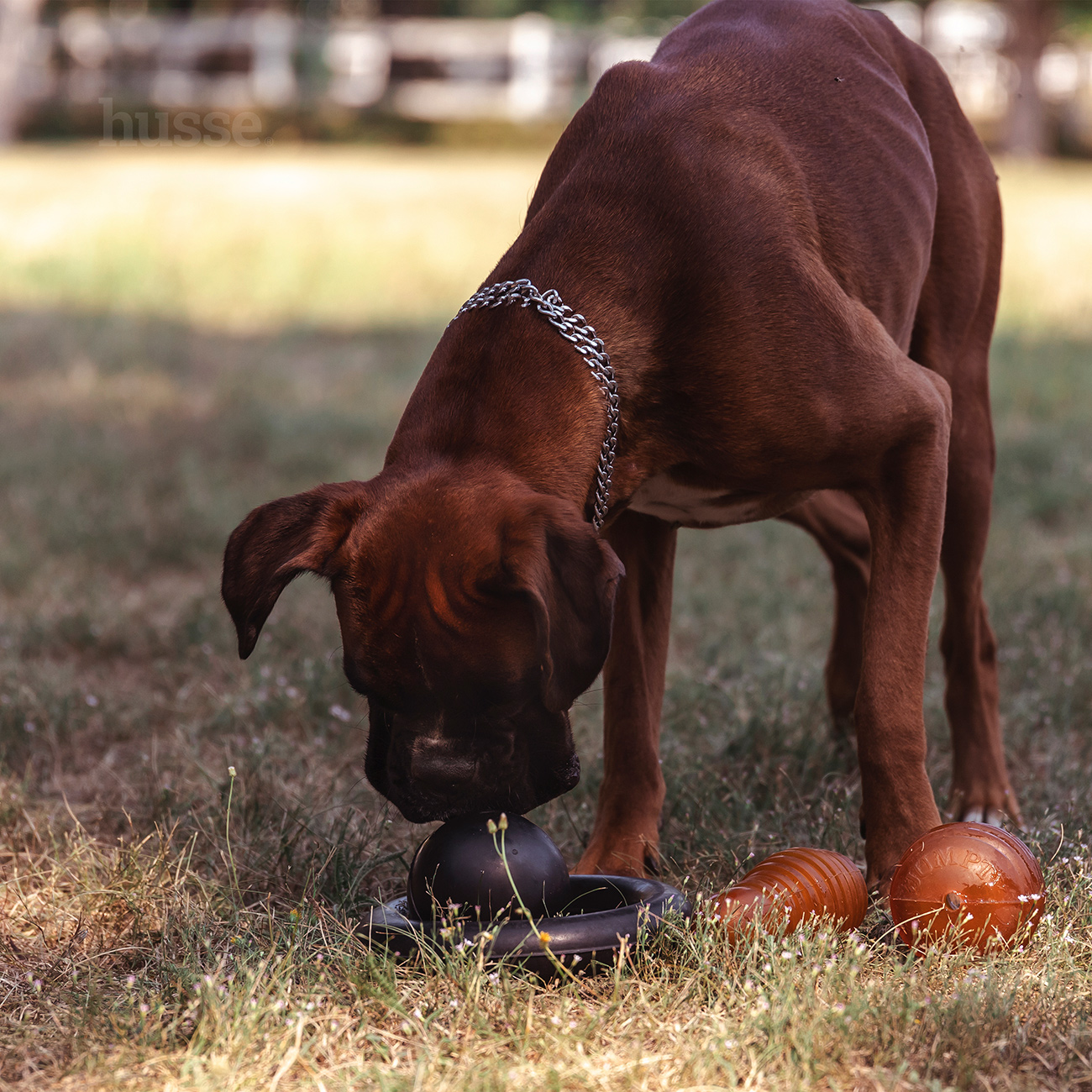 Kägel, L | Igračka za žvakanje za pse
