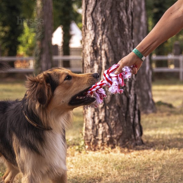 Rep, L | Igračka uže za pse