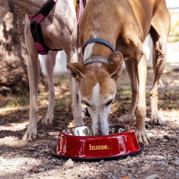 Posuda za hranu i vodu, S