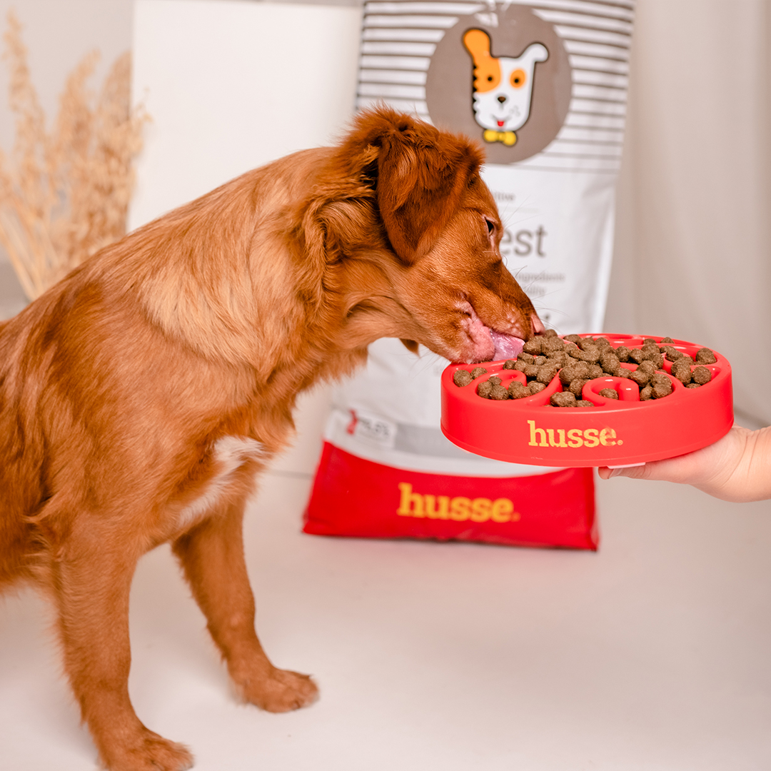 Digest Sensitive, 7 kg | Potpuna hrana za pse s osjetljivim probavnim sustavom i/ili alergijama