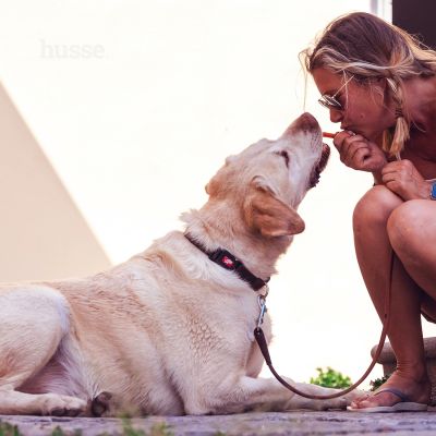 Kycklingfilé, 100 g | Poslastice bez žitarica za pse