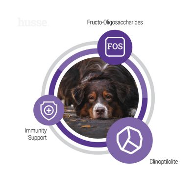 Senior, 12 kg | Potpuna hrana prilagođena potrebama starijih pasa