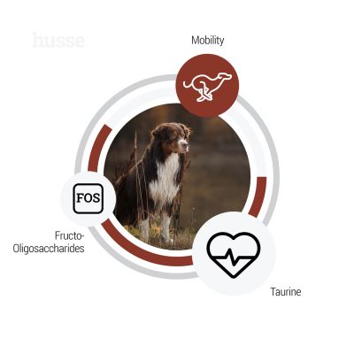 Digest Giant Sensitive, 12.5 kg | Potpuna hrana za pse velikih pasmina s osjetljivim probavnim sustavom i/ili alergijama