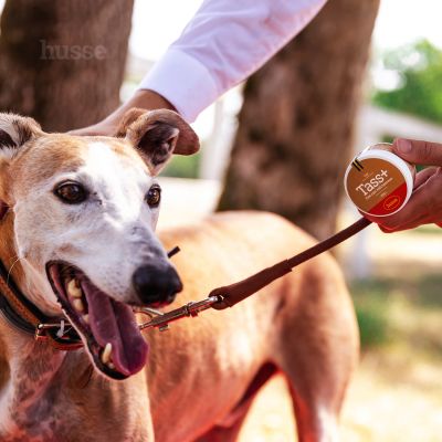 Tass Plus, 40 mL | Balzam za zaštitu šapa