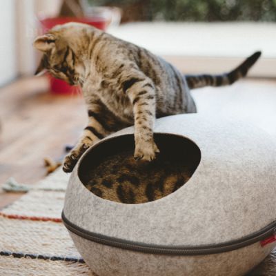 Krypin | Krevet za mačke