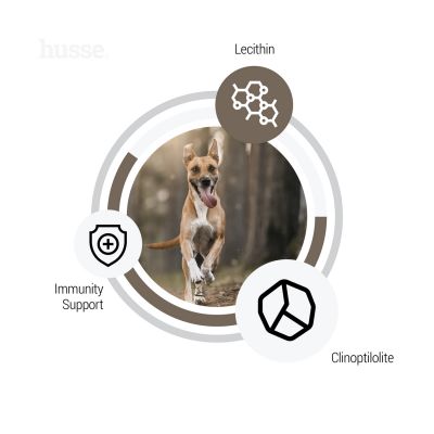 Digest Sensitive, 7 kg | Potpuna hrana za pse s osjetljivim probavnim sustavom i/ili alergijama