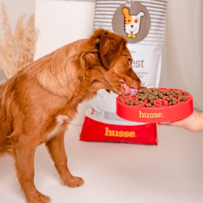 Digest Sensitive, 7 kg | Potpuna hrana za pse s osjetljivim probavnim sustavom i/ili alergijama