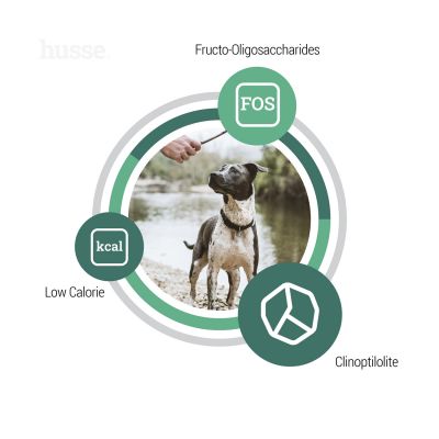 Prima Plus, 2 kg | Potpuna hrana za odrasle pse normalnih energetskih potreba