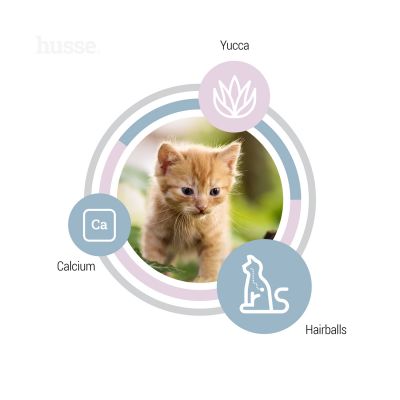 Exclusive Kattunge, 2 kg | Potpuna hrana za mačiće - pogodna za mačke prilikom gestacije i laktacije