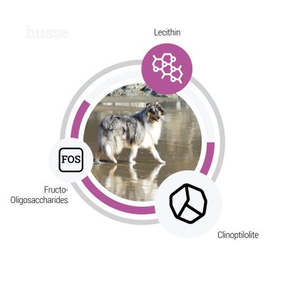 Ocean Care Sensitive, 12.5 kg | Potpuna hrana za pse s osjetljivim probavnim sustavom i/ili alergijama